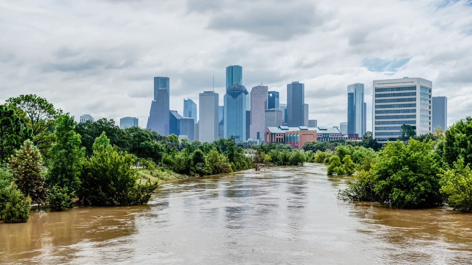 Forensic Water Damage Inspection and Analysis