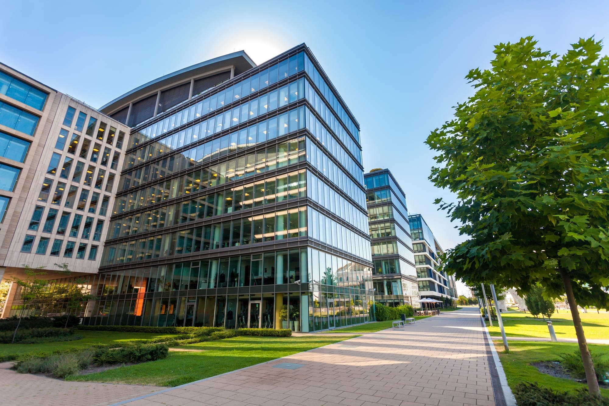Modern glass office buildings along a landscaped walkway