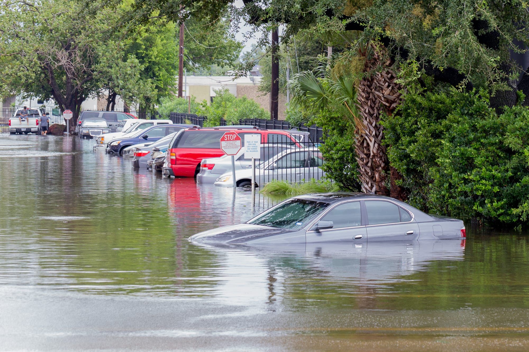 Cars submerged in deep floodwater on a residential street