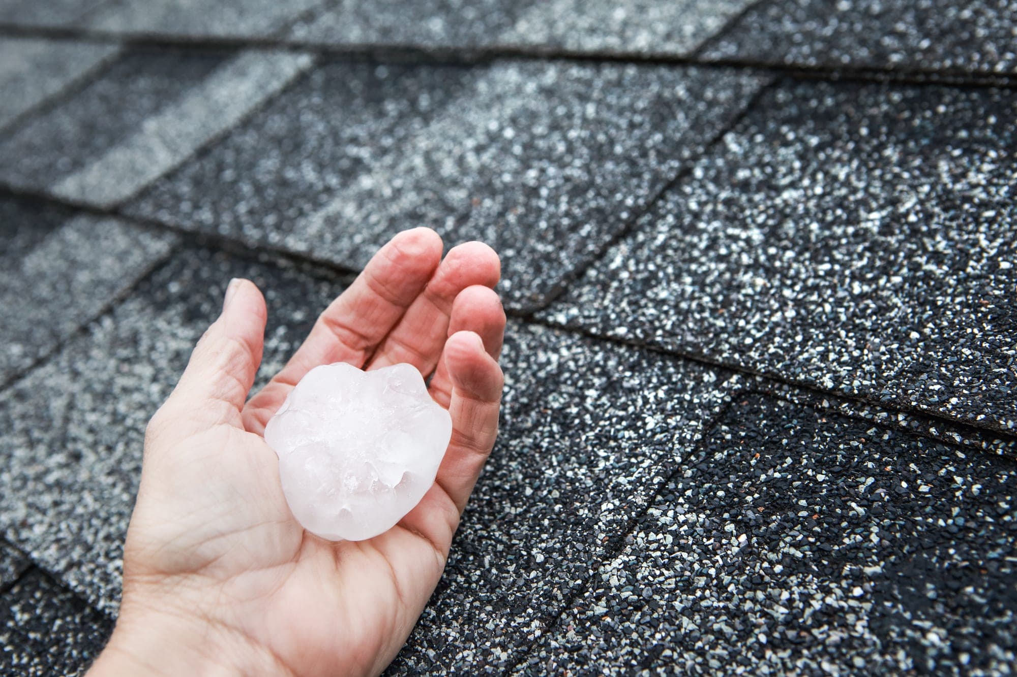 Hailstone held in a hand over asphalt shingles