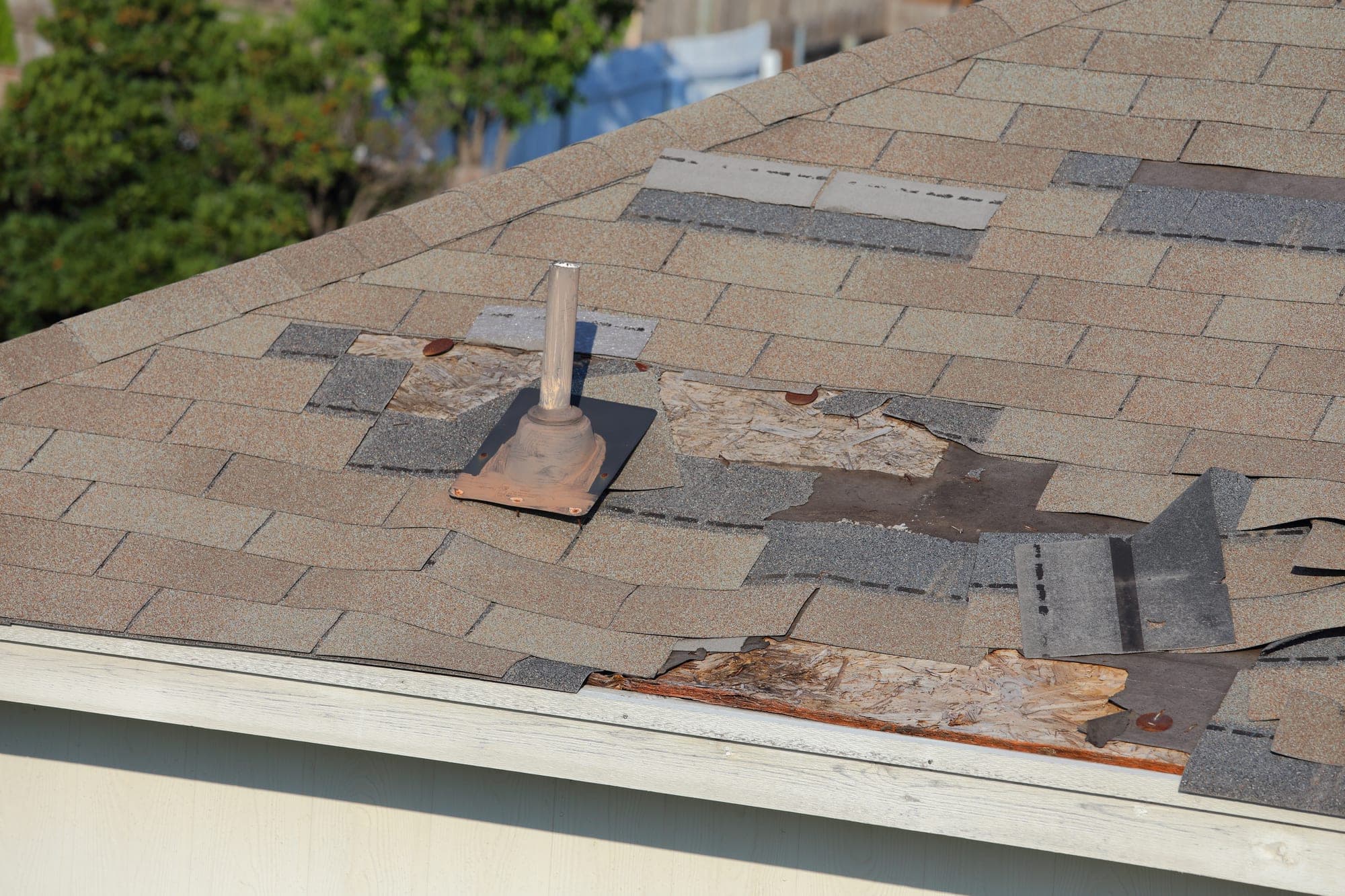 Wind-torn asphalt shingles missing around a roof vent pipe