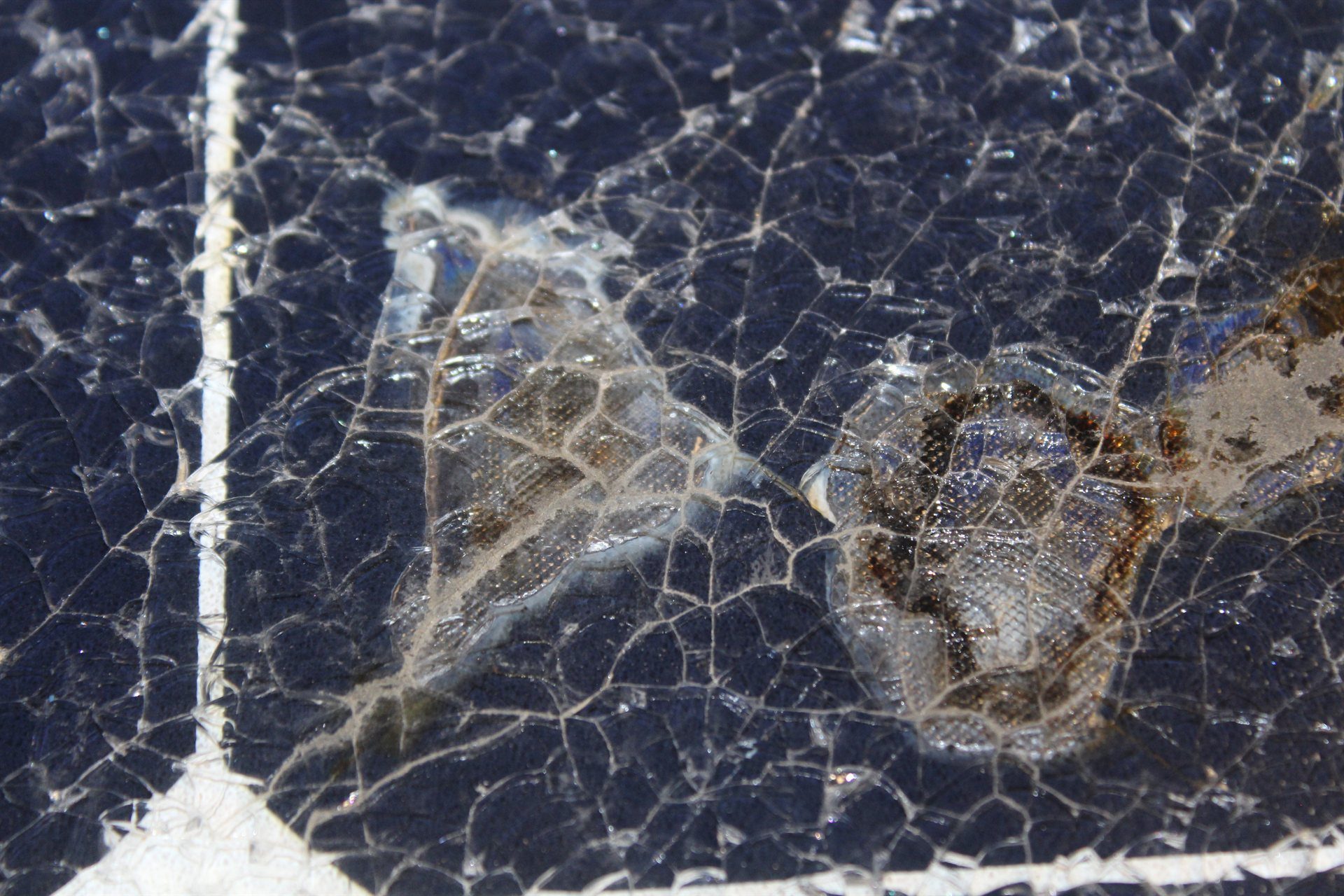 NAFI-certified investigator documenting solar photovoltaic system fire findings and report